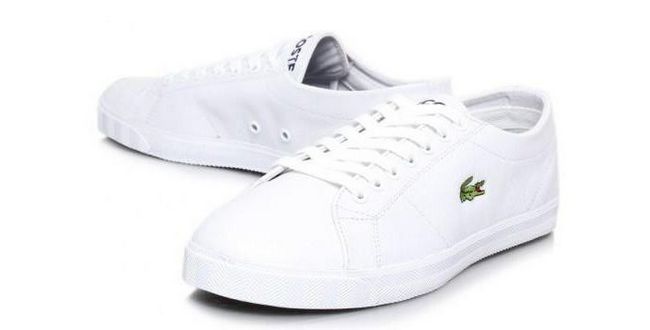  -  :  lacoste