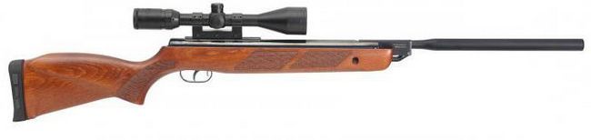  -  gamo hunter +1250: ,    