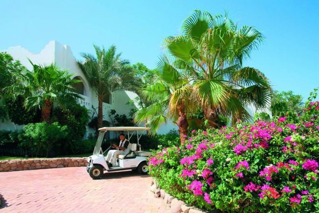 domina coral bay aquamarine pool 5 шарм ель шейх