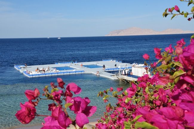 domina coral bay aquamarine pool 5 відгуки